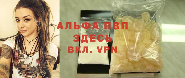 стаф Ельня