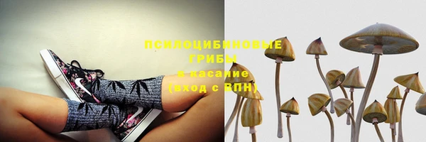 а пвп мука Алзамай