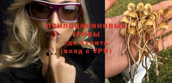 а пвп мука Алзамай